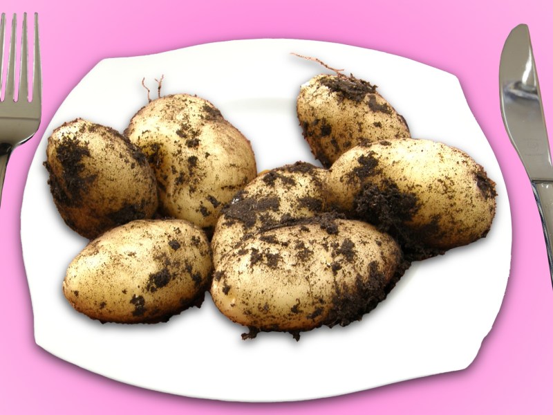 Las 5 maneras más ricas de preparar papas